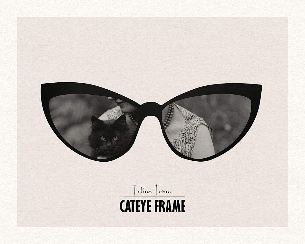 Black Cat Eye Reflections art print by Wild Violets for $57.95 CAD