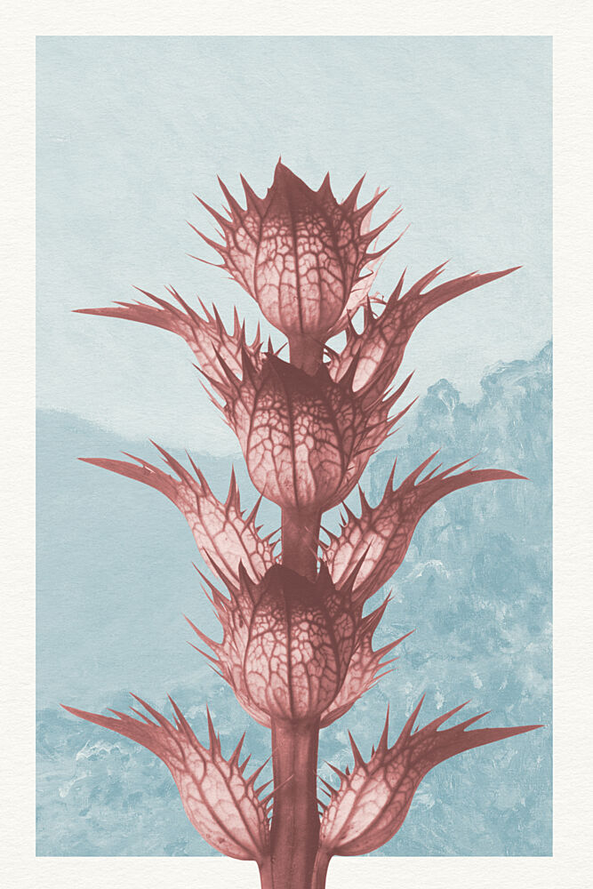 Ethereal Thistle Bloom art print by Wild Violets for $57.95 CAD