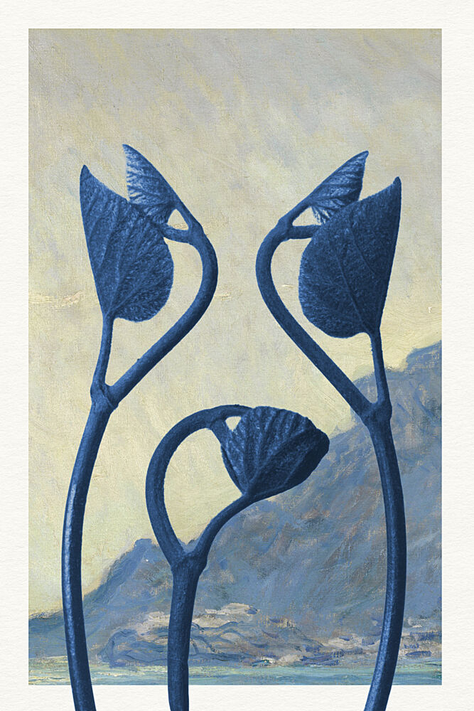 Blue Mountain Sprouts art print by Wild Violets for $57.95 CAD