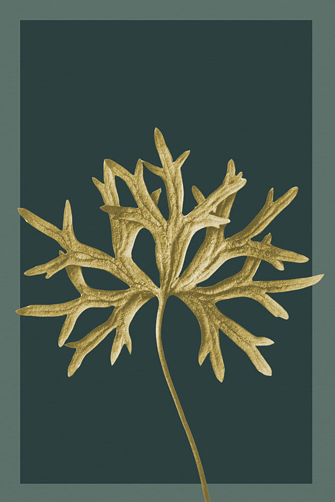 Golden Botanical Leaf art print by Wild Violets for $57.95 CAD
