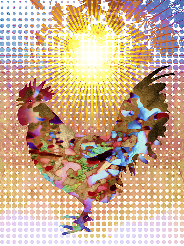 Vibrant Rooster Sunrise art print by Angelo Cerantola for $57.95 CAD