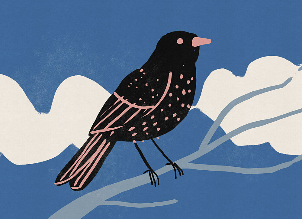 Spotted Bird on Branch art print by Nicholas for $57.95 CAD