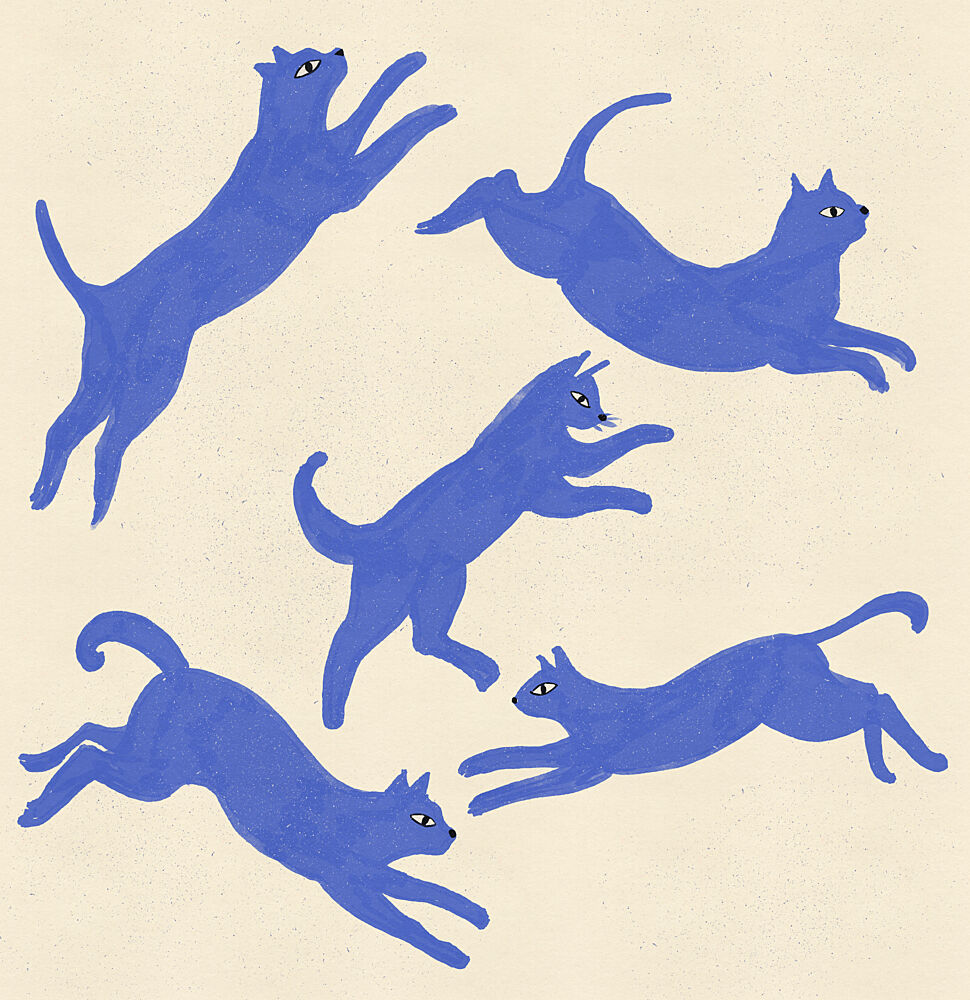 Playful Blue Cats art print by Nicholas for $57.95 CAD