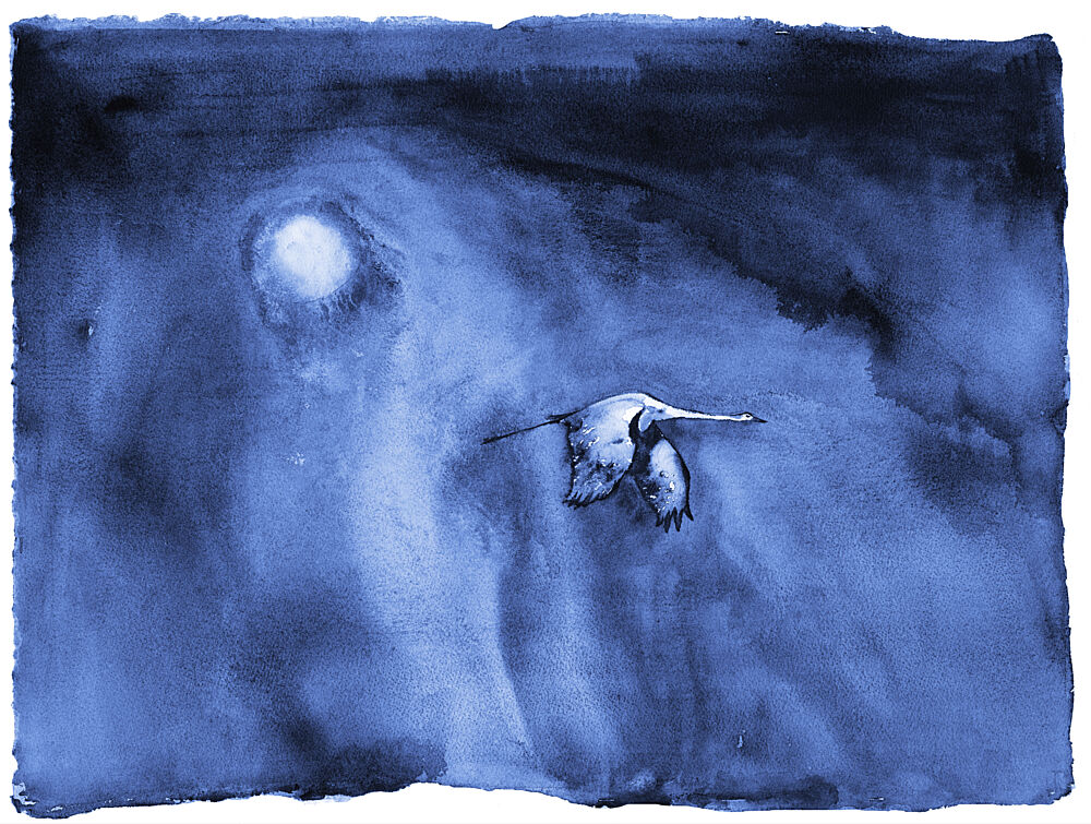 Solo Migration Lumaprints art print by RodMacIver for $57.95 CAD