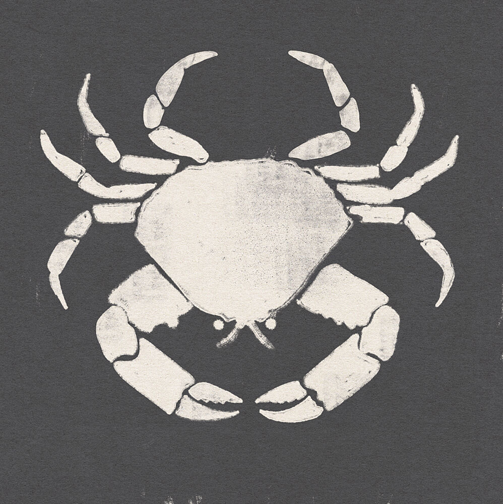 Rustic Coastal Crab art print by Nicholas for $57.95 CAD