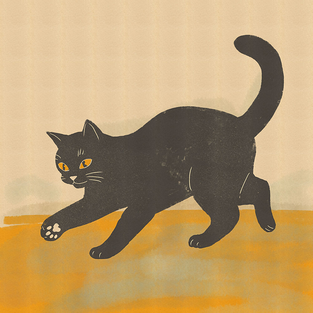 Black Cat Pounce art print by Nicholas for $57.95 CAD