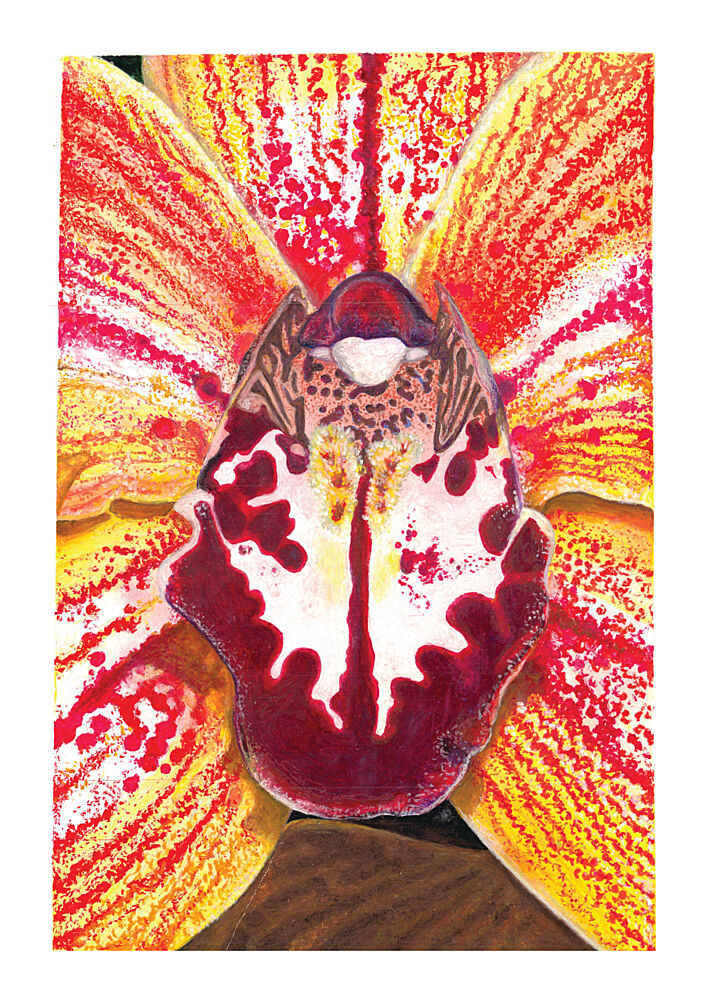Vibrant Orchid Bloom art print by Julia Holmes for $57.95 CAD