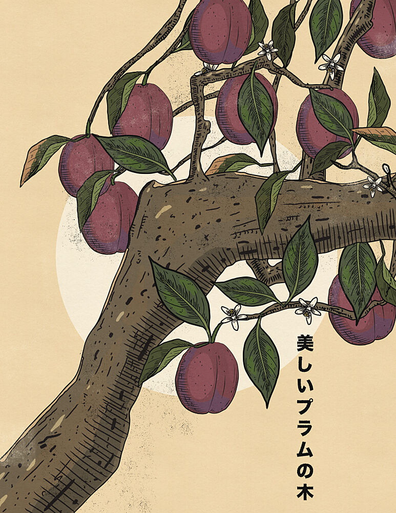 Beautiful Japanese Plum Tree art print by Nicholas for $57.95 CAD