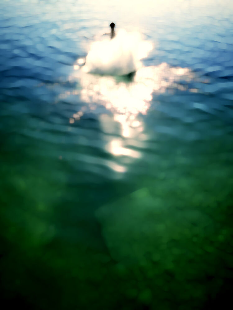 Ethereal Water Glow art print by Angelo Cerantola for $57.95 CAD