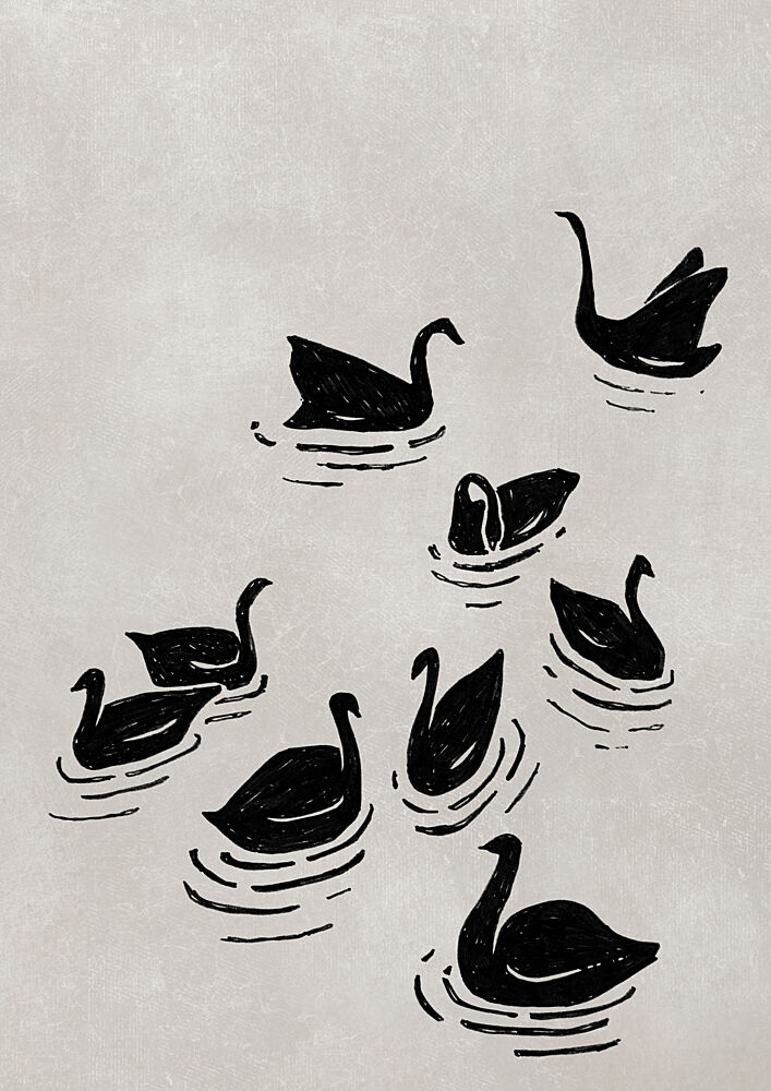 Elegant Black Swans art print by Rosana Laiz Blursbyai for $57.95 CAD