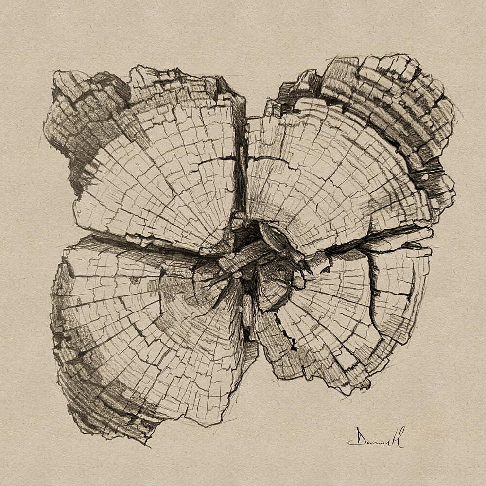 Aged Wood Grain Drawing art print by Dan Hobday for $57.95 CAD