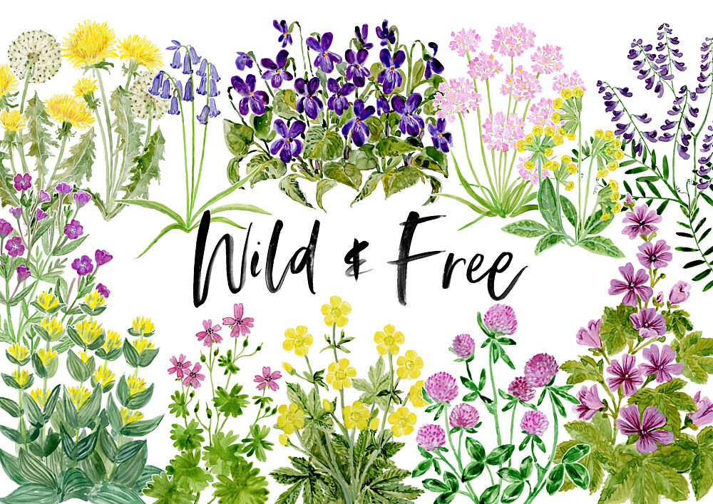 Wild and Free Wildflowers art print by Rosana Laiz Blursbyai for $57.95 CAD