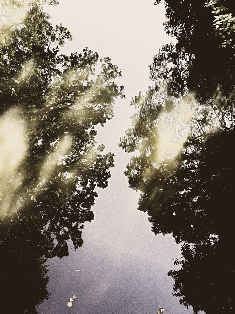 NatureUnknowns Mirrored Sky art print by Angelo Cerantola for $57.95 CAD