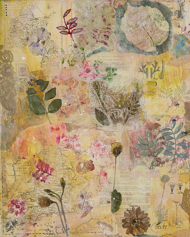Botanical Map Collage art print by Anna Berends van Loenen for $57.95 CAD