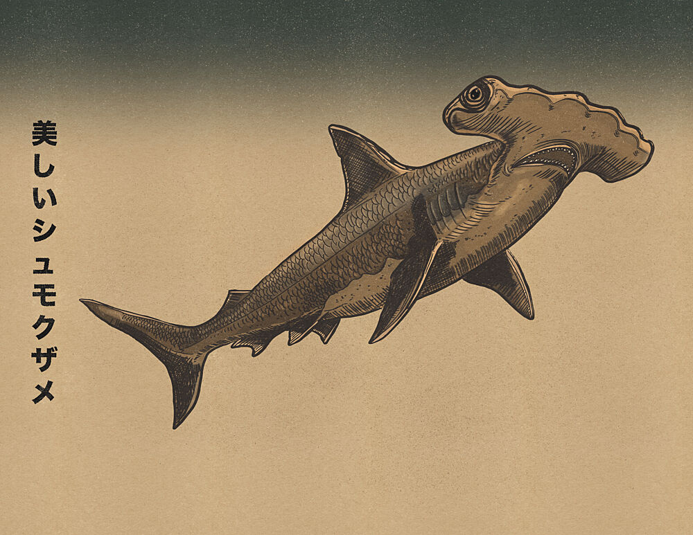 Beautiful Hammerhead Shark art print by Nicholas for $57.95 CAD