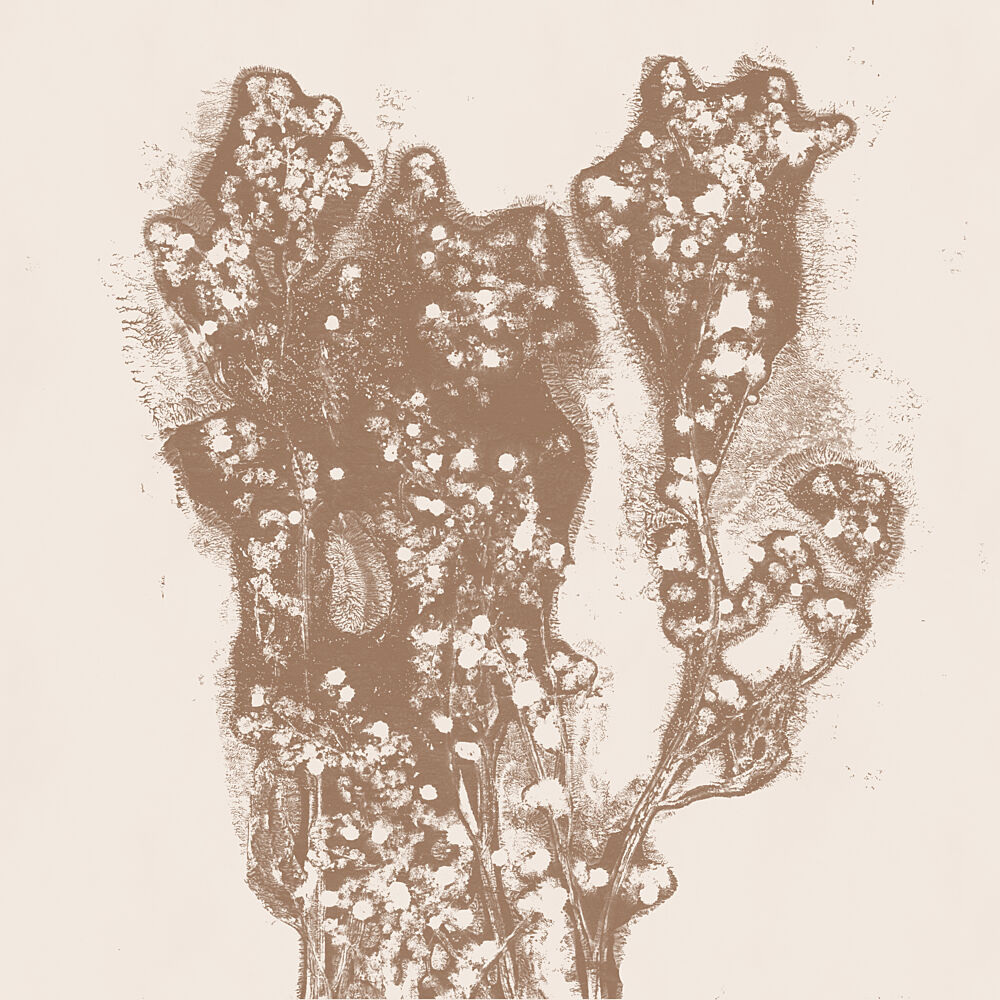Sepia Botanical Bloom art print by Dina Dankers for $57.95 CAD