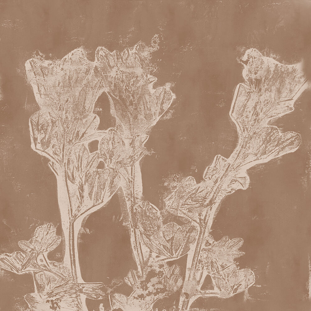 Sepia Botanical Forms art print by Dina Dankers for $57.95 CAD