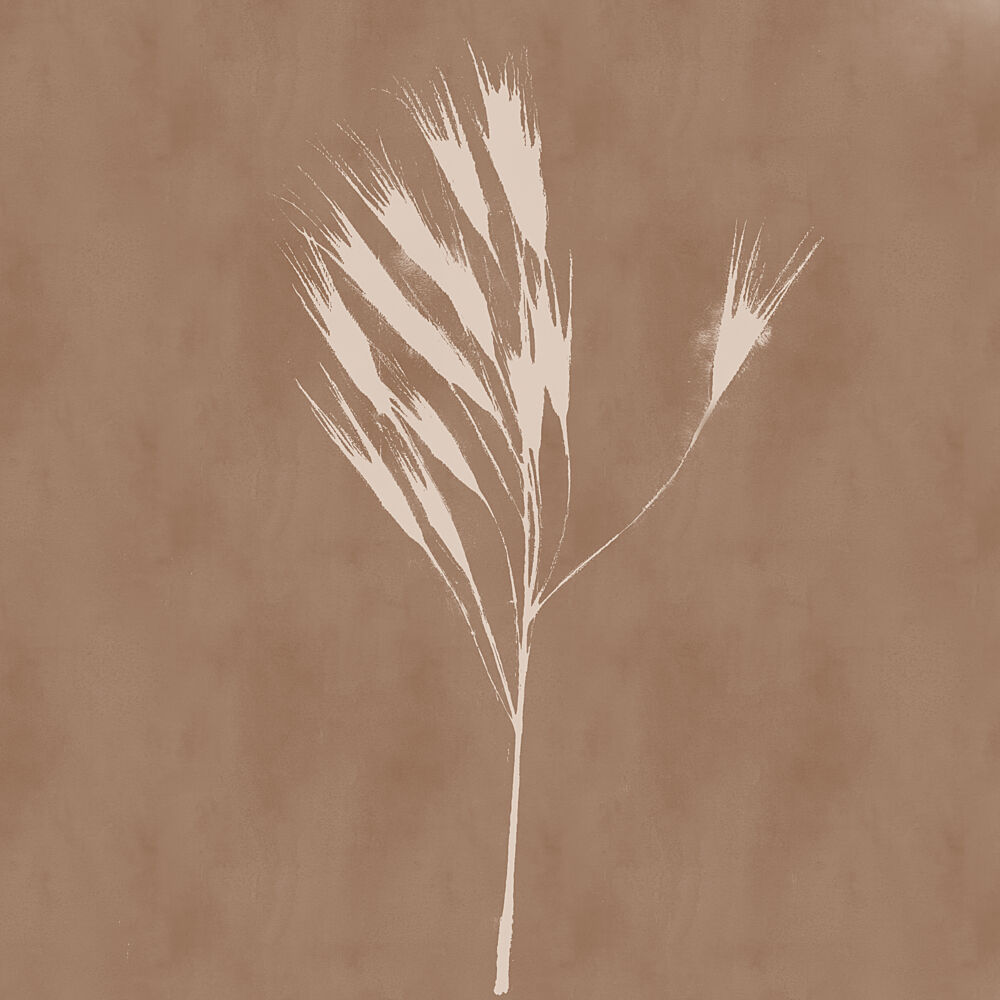 Organic Grass Plume art print by Dina Dankers for $57.95 CAD
