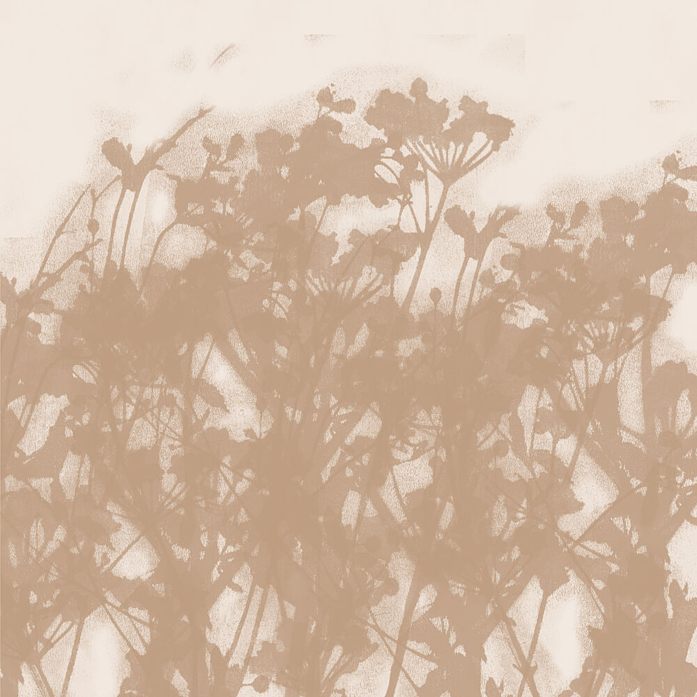 Soft Botanical Shadows art print by Dina Dankers for $57.95 CAD