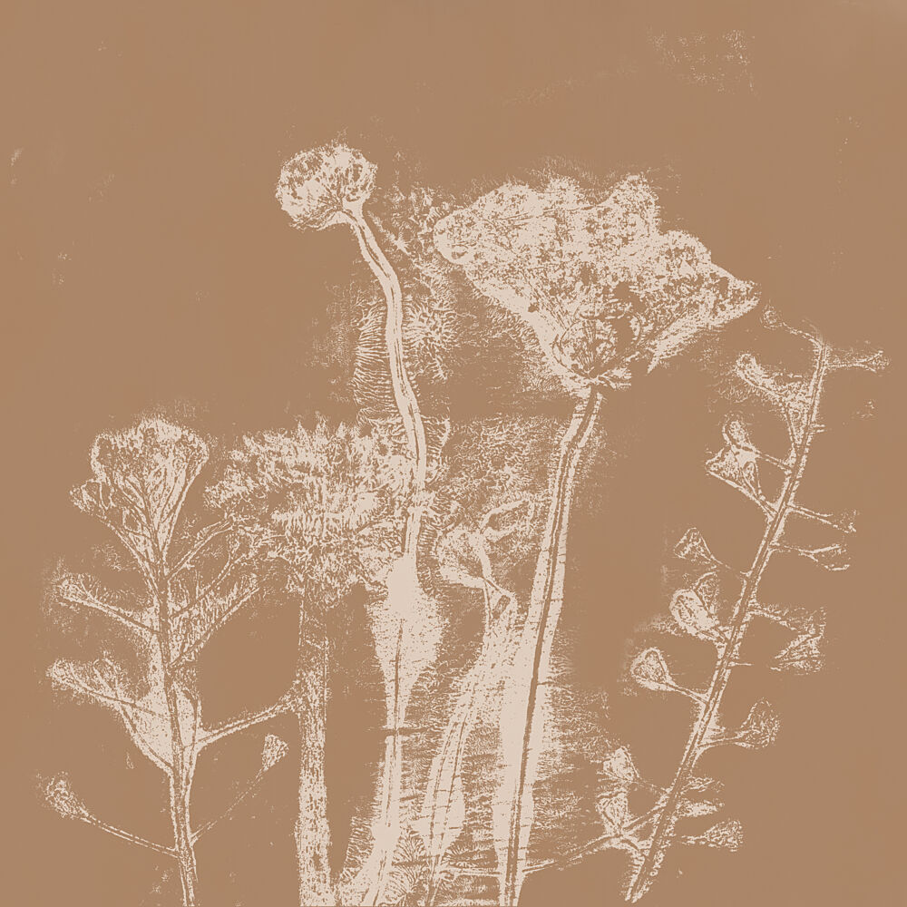 Beige Summer Flowers art print by Dina Dankers for $57.95 CAD