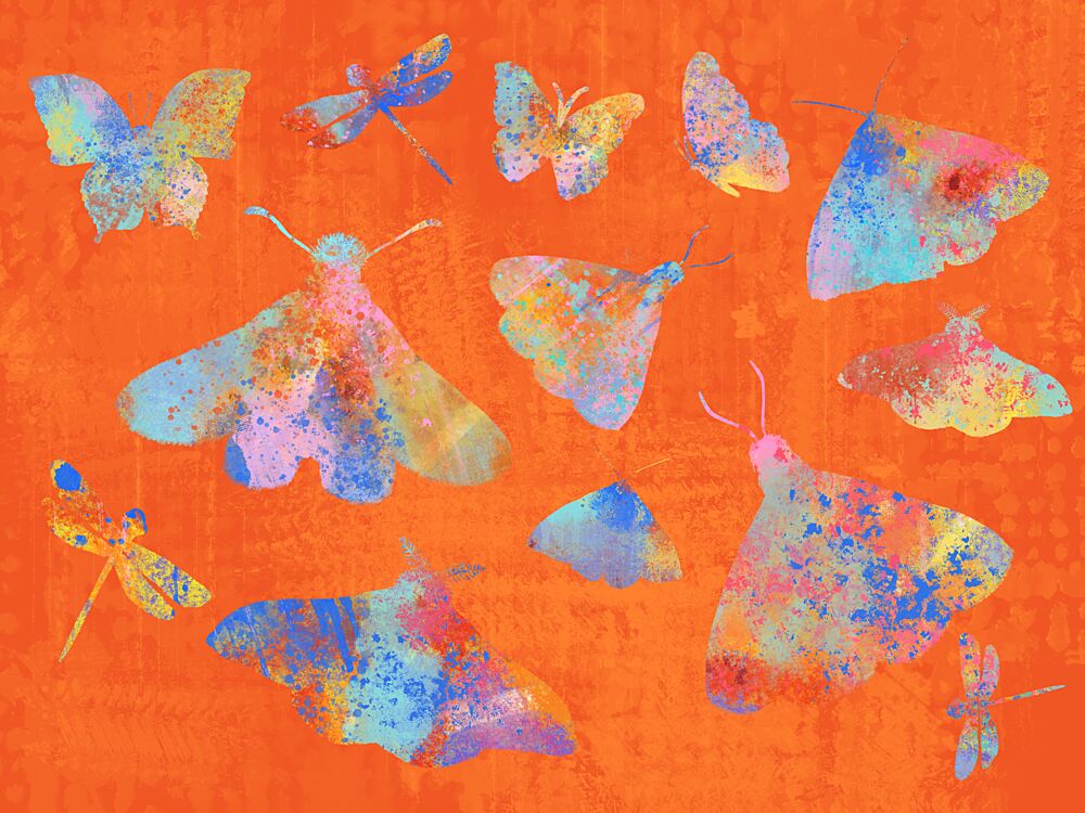Colorful Splatter Insects art print by Aliya Putrus for $57.95 CAD