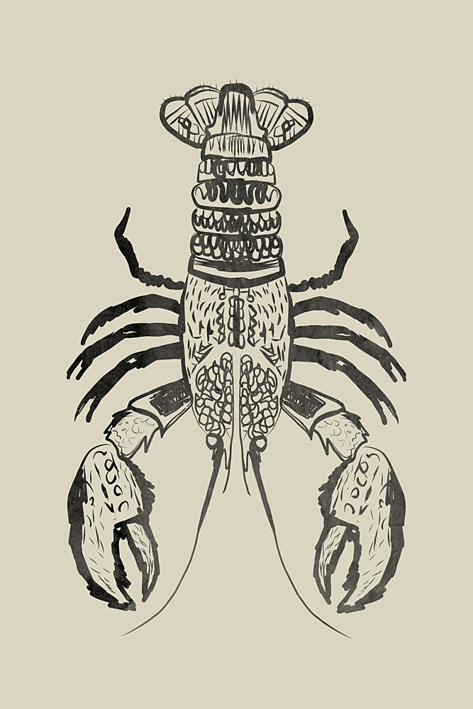 Rustic Lobster Drawing art print by Casa Cartissi for $57.95 CAD