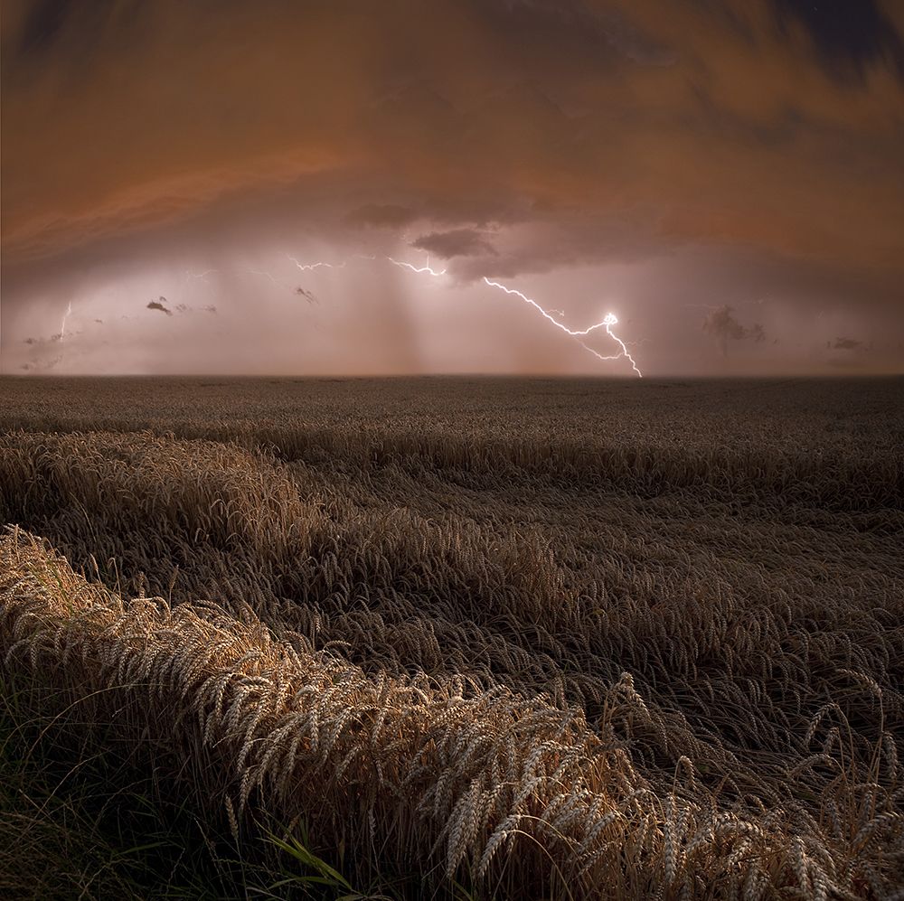 Harvest Lights art print by Nicolas Schumacher for $57.95 CAD