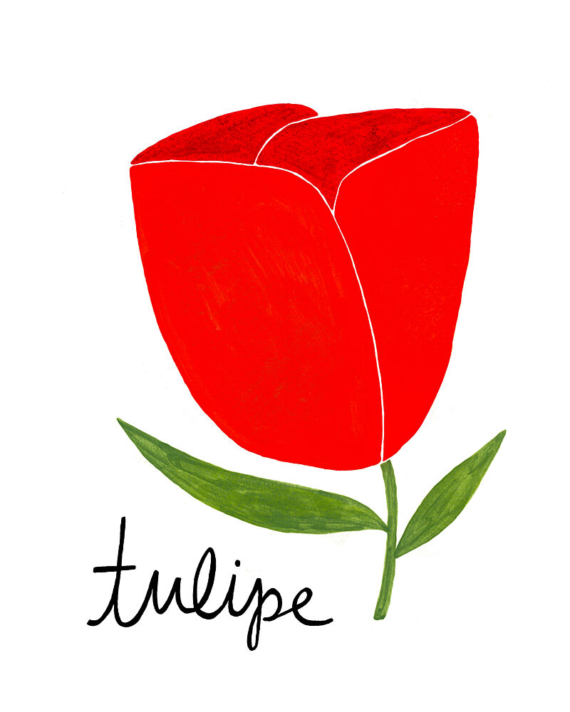 Vibrant Red Tulip art print by Susan Black for $57.95 CAD