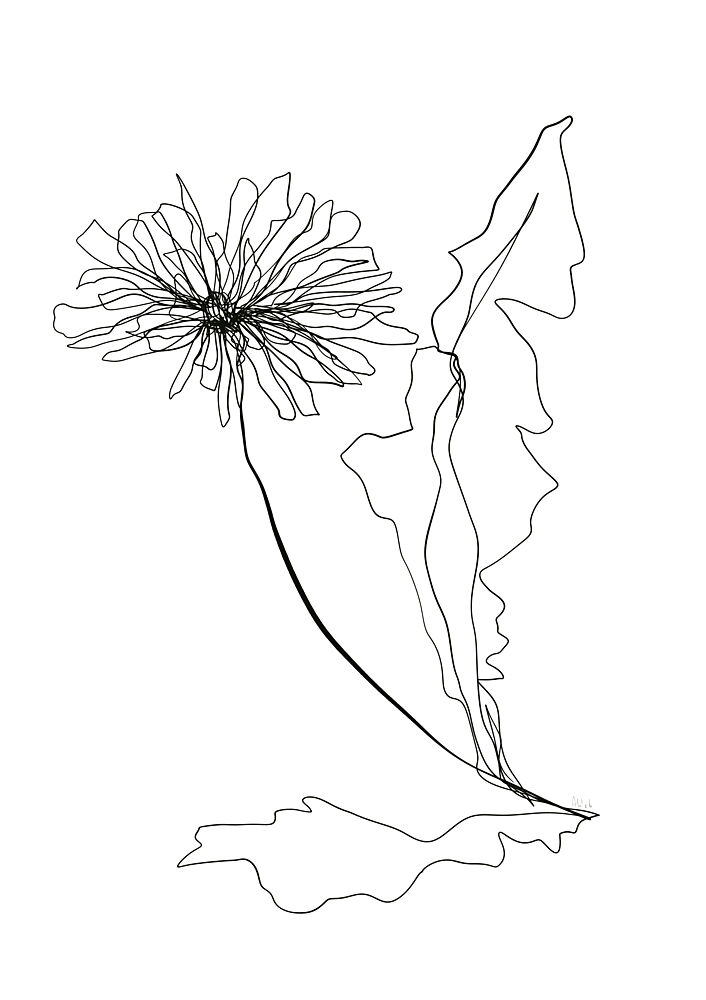 Dandelion Line Art art print by Ankie Kooi for $57.95 CAD