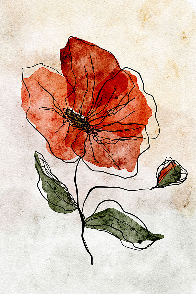 Red Watercolor Poppy art print by Ankie Kooi for $57.95 CAD
