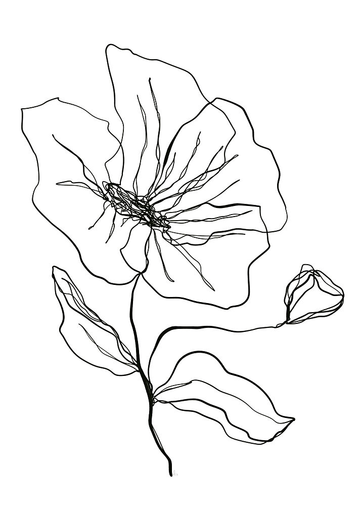Delicate Flower Sketch art print by Ankie Kooi for $57.95 CAD