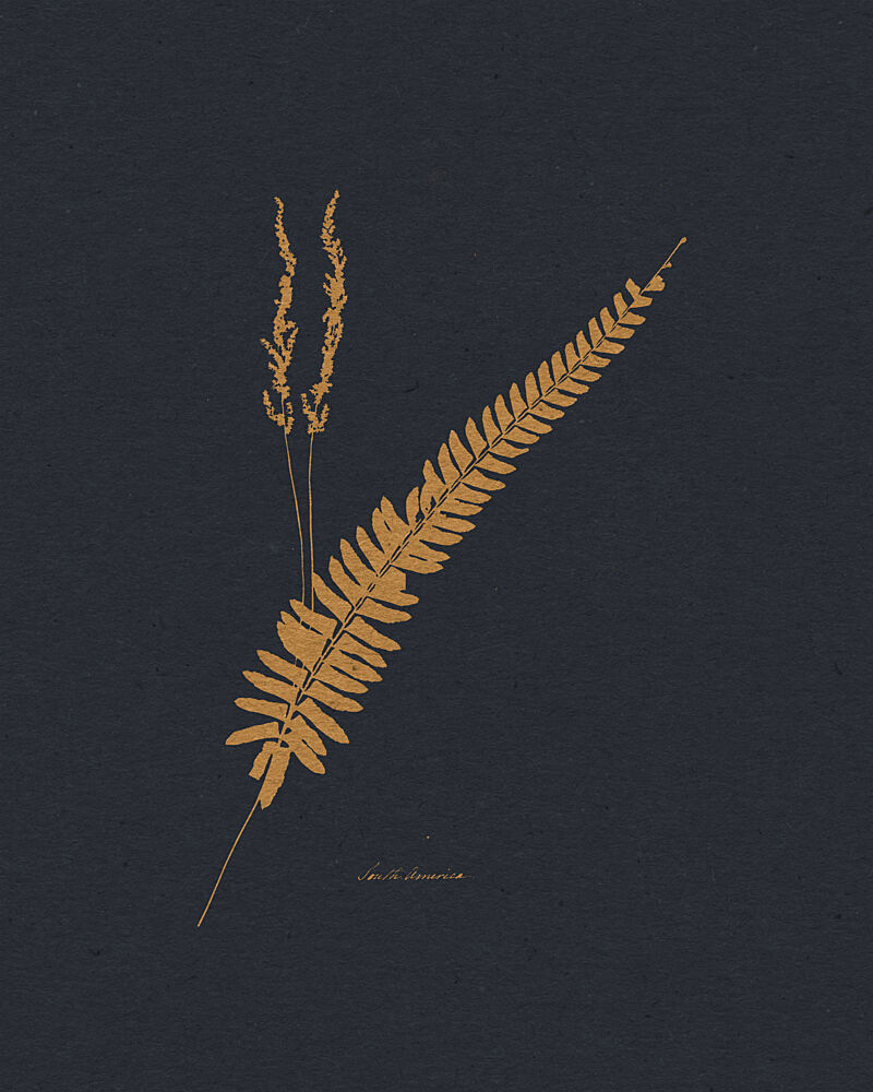 Golden Fern and Grass art print by Wild Violets for $57.95 CAD