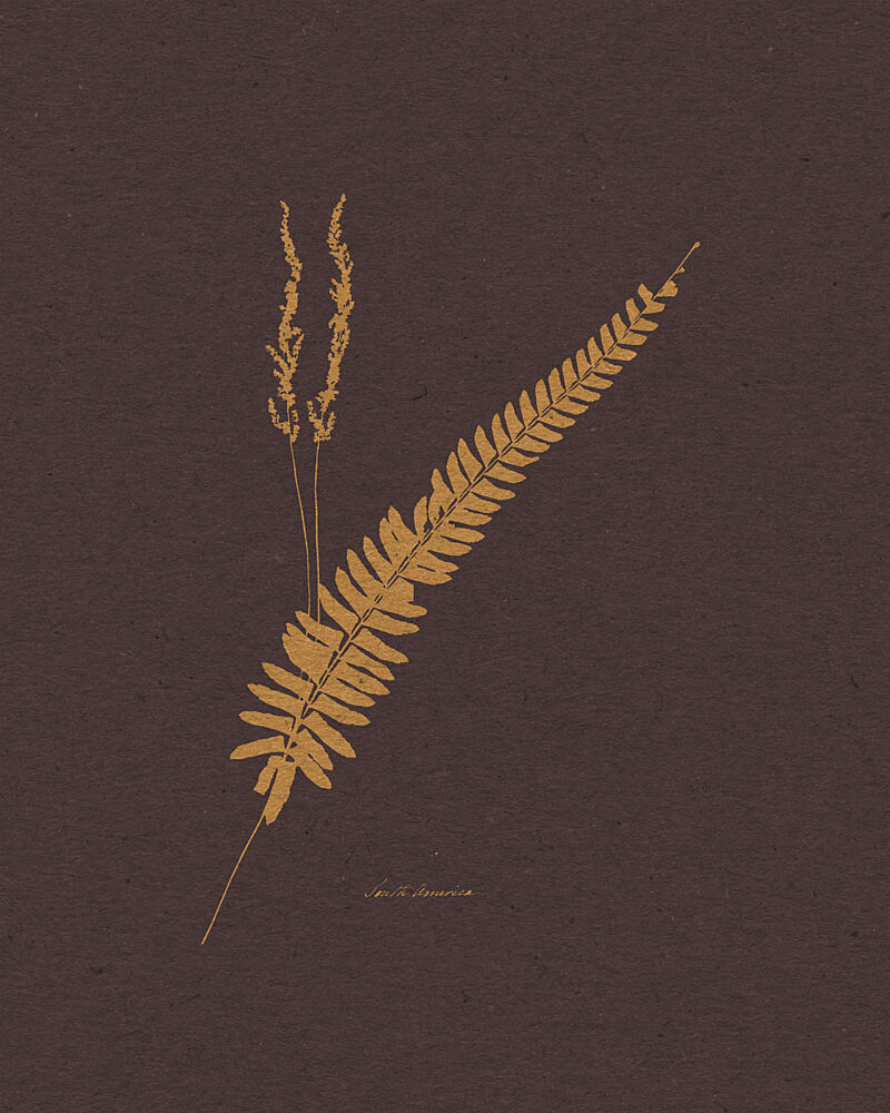 Golden Fern and Grass art print by Wild Violets for $57.95 CAD