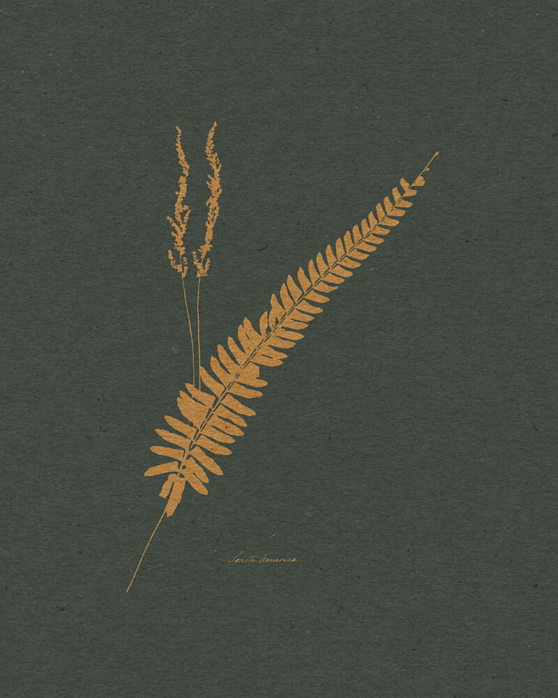 Golden Fern and Grass art print by Wild Violets for $57.95 CAD