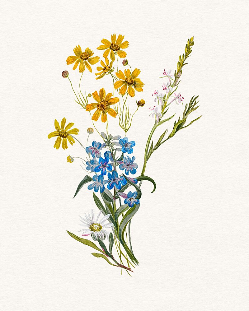 Colorful Wildflower Bouquet art print by Wild Violets for $57.95 CAD