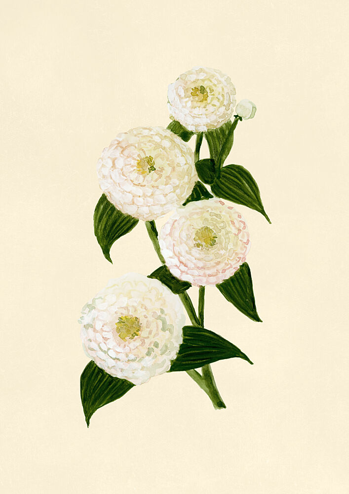 Elegant White Blooms art print by Rosana Laiz Blursbyai for $57.95 CAD