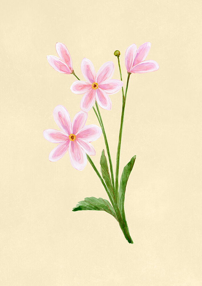 Delicate Pink Blossoms art print by Rosana Laiz Blursbyai for $57.95 CAD
