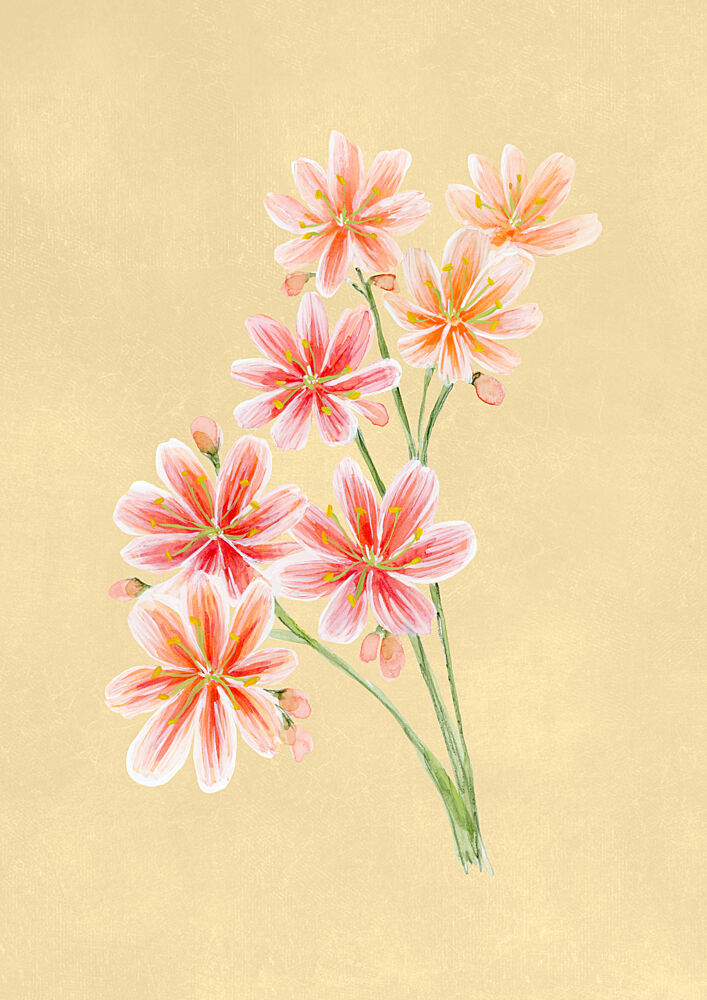 Pink and Orange Blooms art print by Rosana Laiz Blursbyai for $57.95 CAD