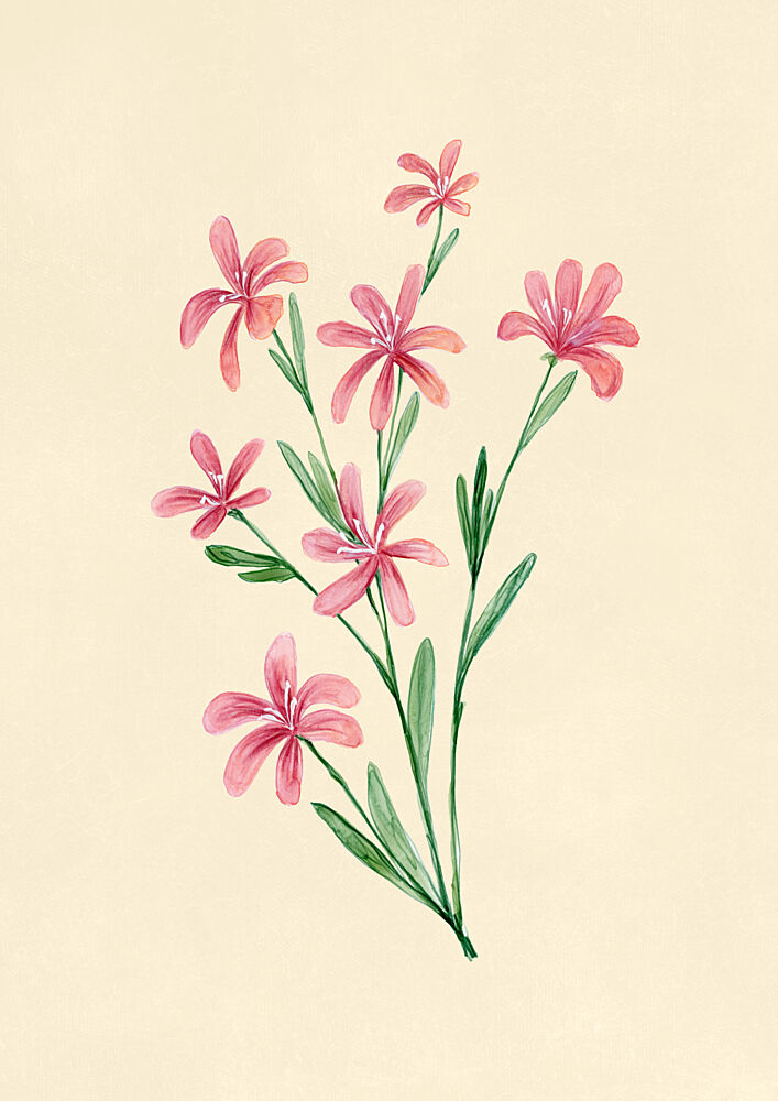 Soft Pink Blossoms art print by Rosana Laiz Blursbyai for $57.95 CAD