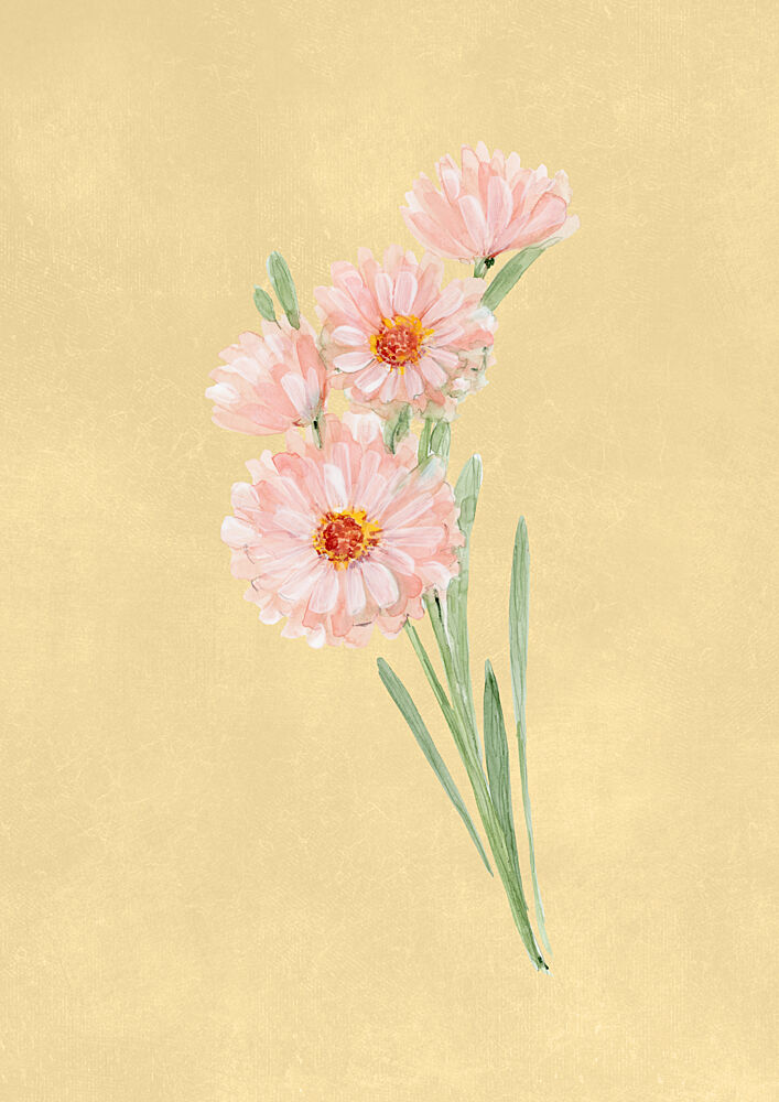 Delicate Pink Daisies art print by Rosana Laiz Blursbyai for $57.95 CAD