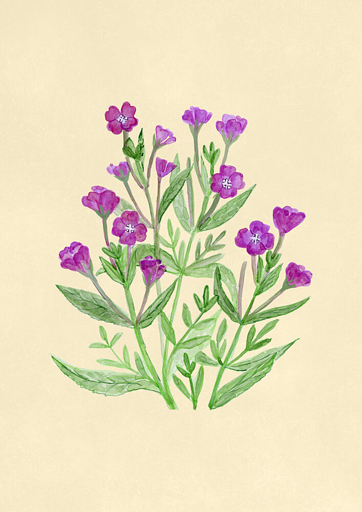 Purple Watercolor Blooms art print by Rosana Laiz Blursbyai for $57.95 CAD