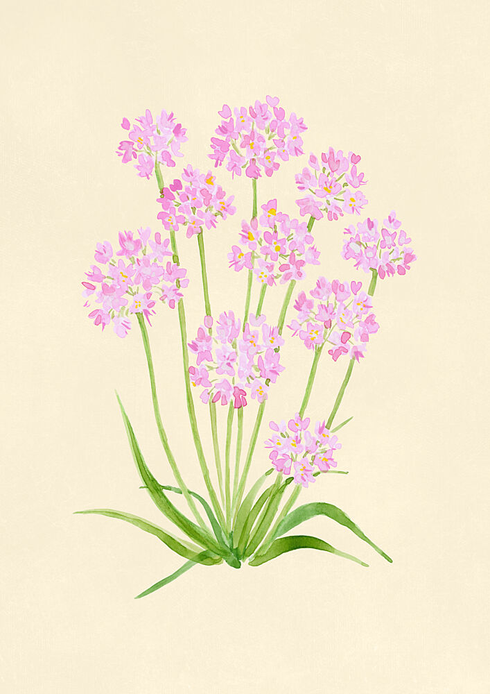 Pink Watercolor Flowers art print by Rosana Laiz Blursbyai for $57.95 CAD