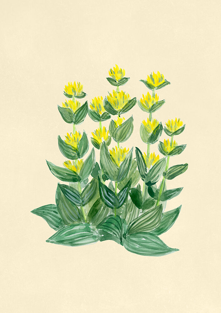 Fresh Yellow Flowers art print by Rosana Laiz Blursbyai for $57.95 CAD