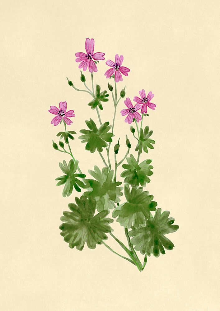 Delicate Pink Botany art print by Rosana Laiz Blursbyai for $57.95 CAD