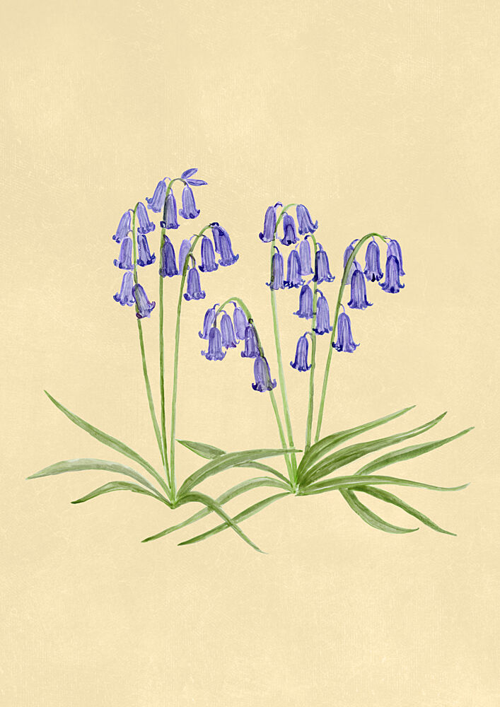 Spring Bluebells art print by Rosana Laiz Blursbyai for $57.95 CAD