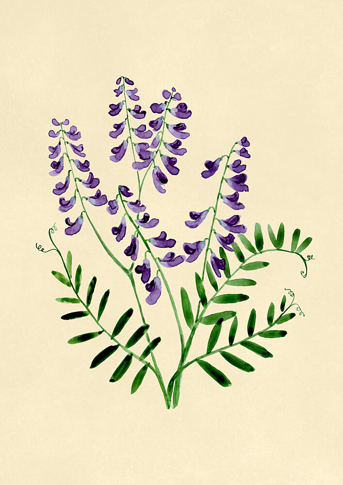 Botanical Purple Blooms art print by Rosana Laiz Blursbyai for $57.95 CAD