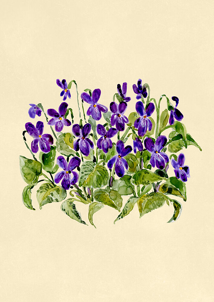 Delicate Purple Violets art print by Rosana Laiz Blursbyai for $57.95 CAD