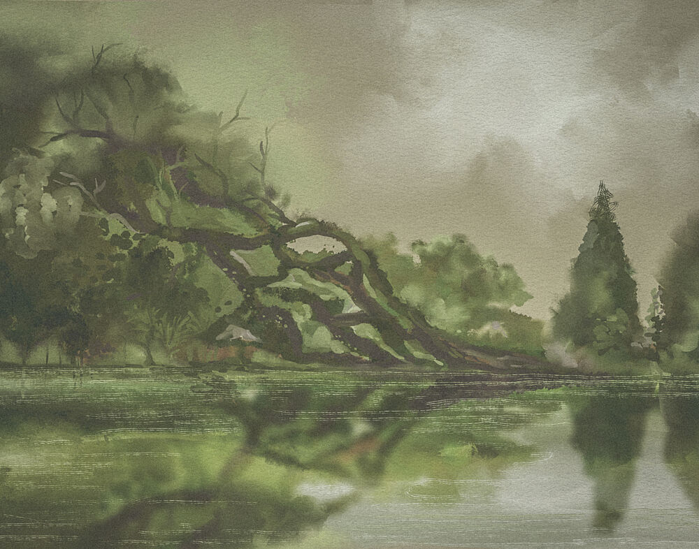Gnarled Tree Reflection art print by Josie George for $57.95 CAD
