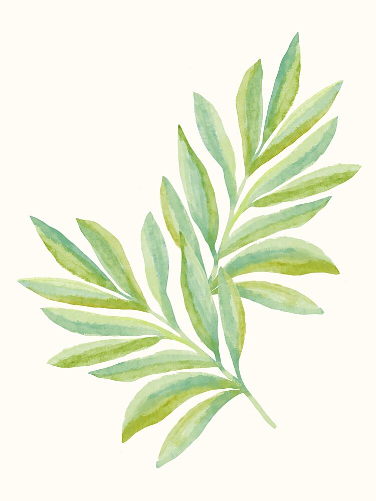 Gentle Green Branches art print by Kristian Gallagher for $57.95 CAD