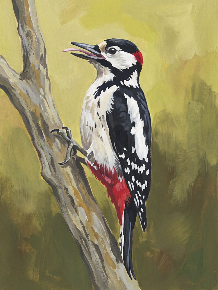 Vibrant Woodpecker Perched art print by Andreas Magnusson for $57.95 CAD